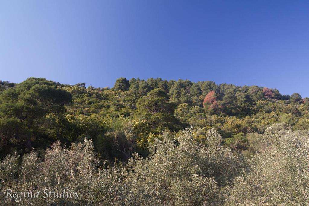 Skalopati Studios & Villa Panormos  Eksteriør bilde