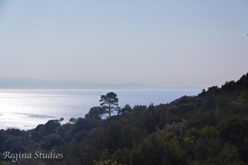 Skalopati Studios & Villa Panormos  Eksteriør bilde